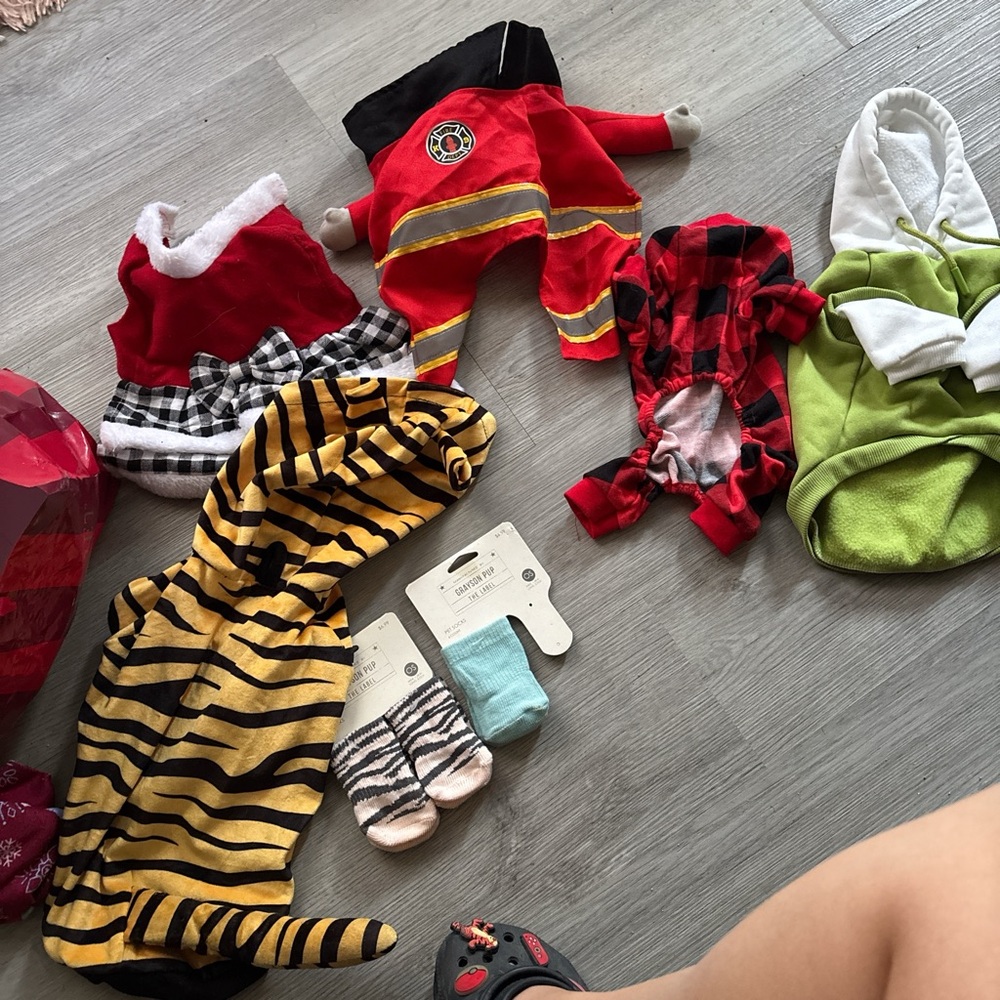 Dog Clothing Set - Red, Black, Green, Yellow